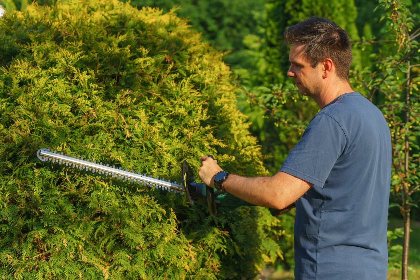 Yard Work & Snow Removal